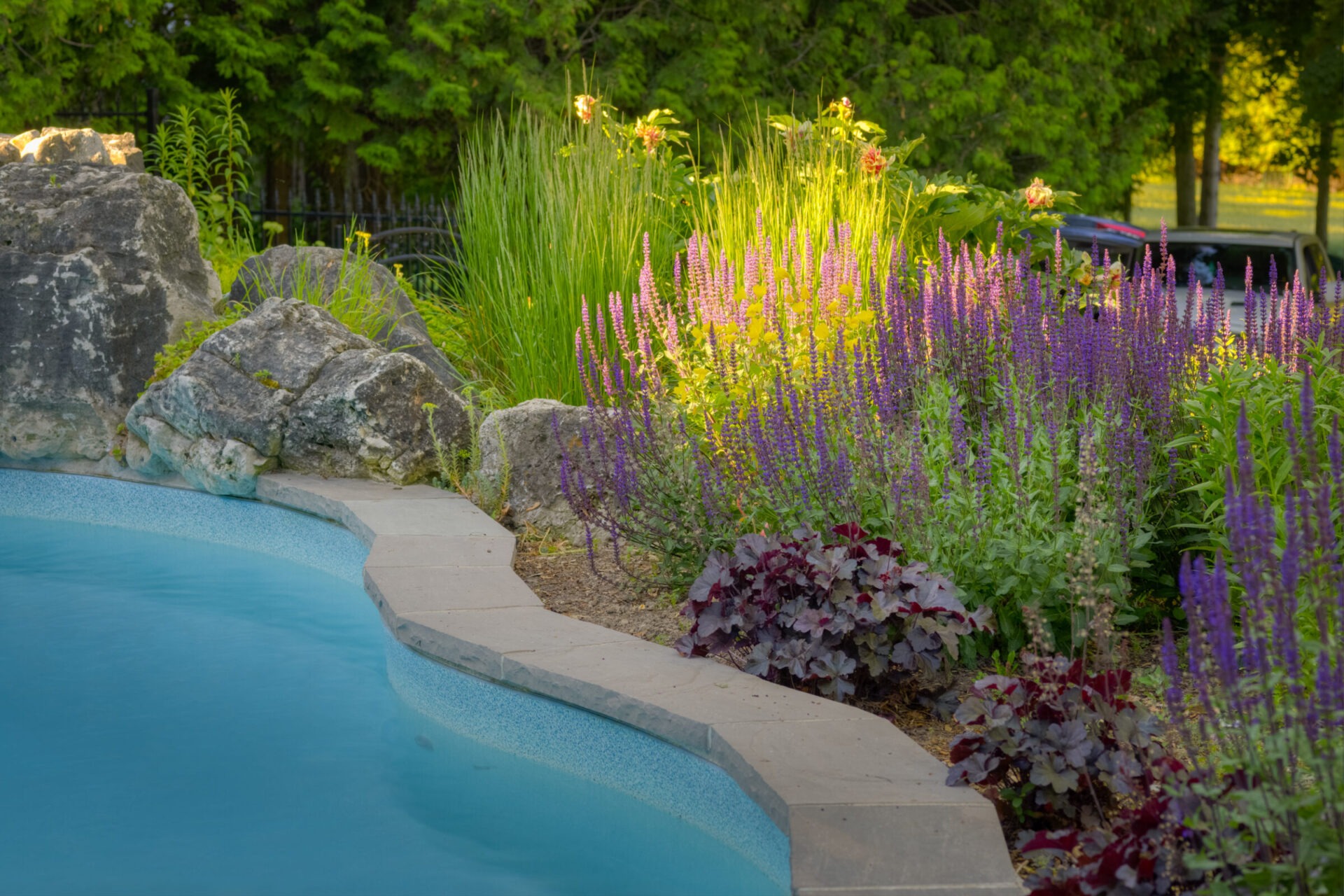 A serene garden with blooming purple flowers next to a clear blue pool, flanked by natural stones and vibrant green foliage in soft light.