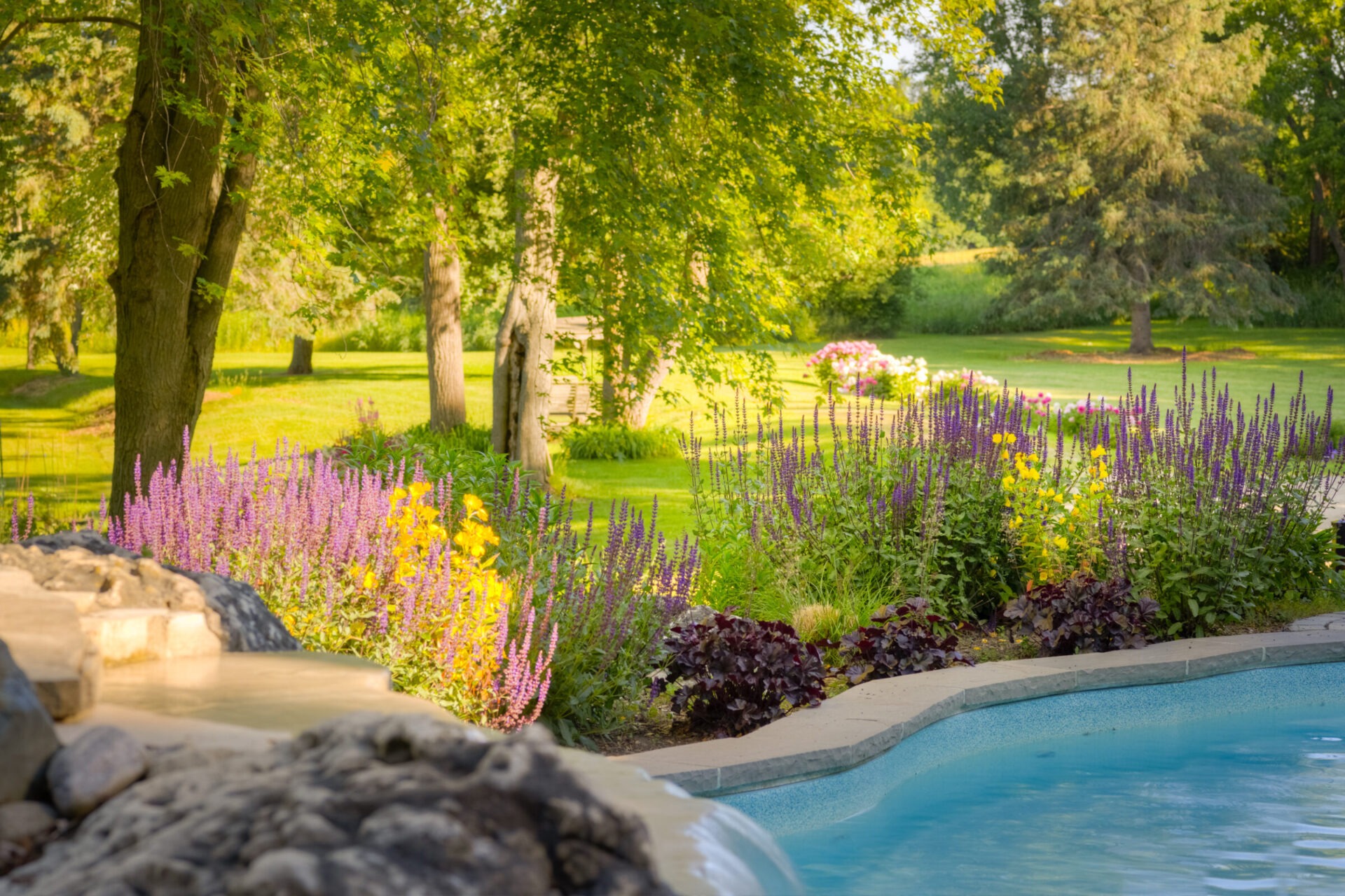 A serene garden with vibrant purple and yellow flowers, lush trees, and part of a blue pool in the foreground, suggesting a tranquil, natural setting.