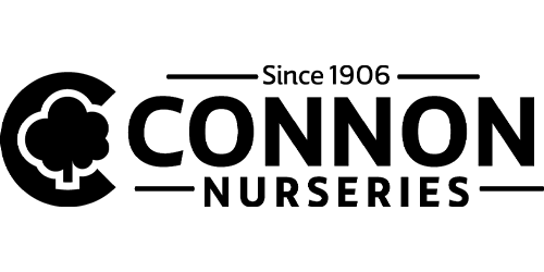 This is a logo for "Connon Nurseries," featuring stylized tree silhouettes, with the text "Since 1906" indicating a long-standing history. The design is simple and professional.