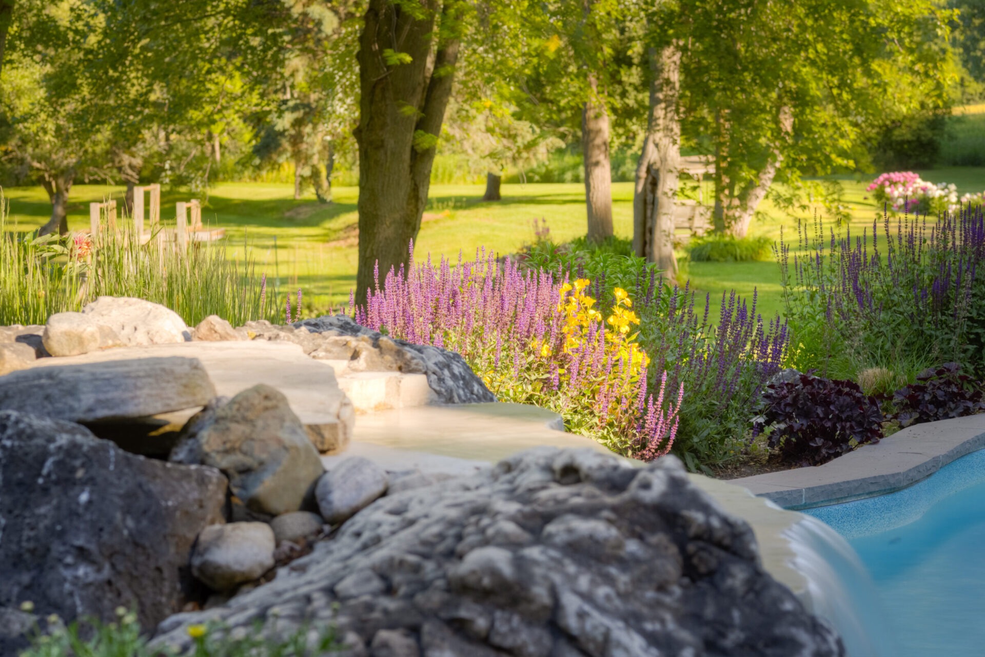 A serene garden scene with a small artificial stream, flowering purple and yellow plants, large stones, lush trees, and green grass in soft sunlight.
