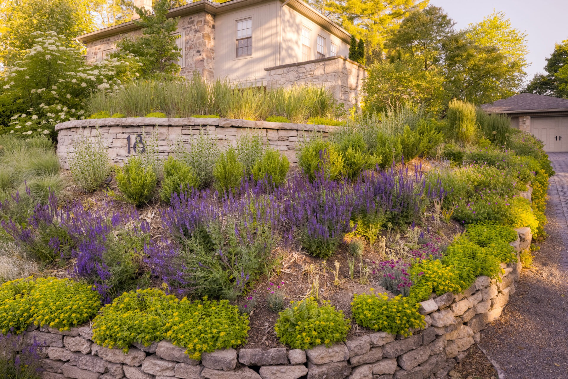 A tiered garden with stone retaining walls featuring purple and yellow flowers in front of a house with a stone facade during sunset.