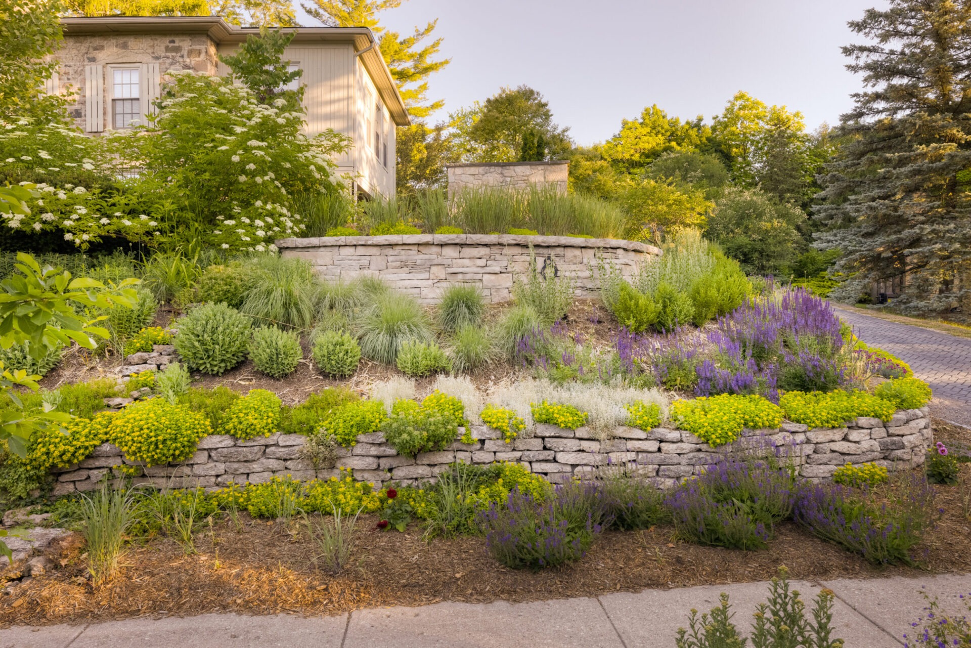 This image shows a well-manicured garden with tiered stone walls, colorful flowers, lush greenery, and a backdrop of a house and trees.