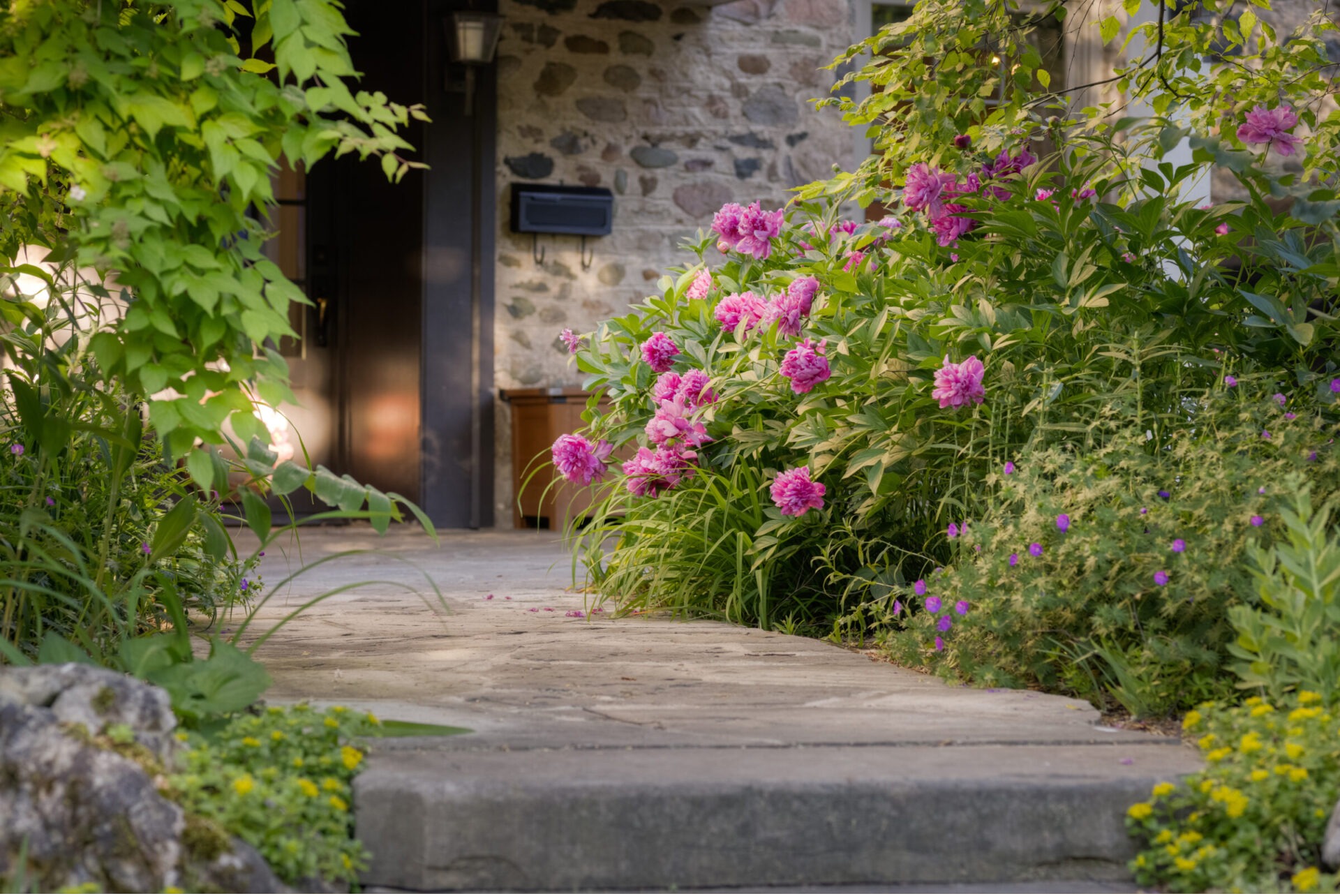 This image shows a picturesque stone path leading to a dark entrance door, flanked by lush pink flowers, green foliage, and a mailbox on the wall.