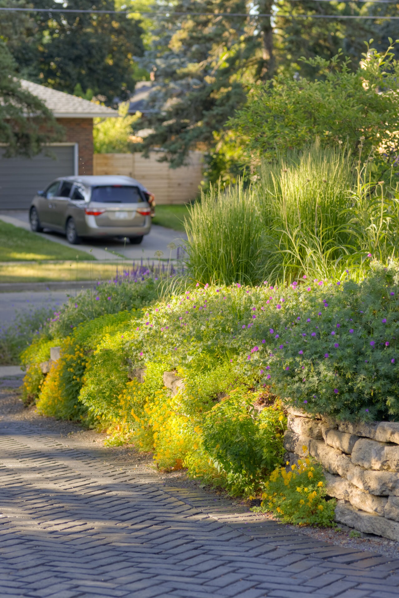 A cobblestone driveway leads to a house with lush flowerbeds and tall grasses beside it, bathed in soft sunlight, with a car parked upfront.