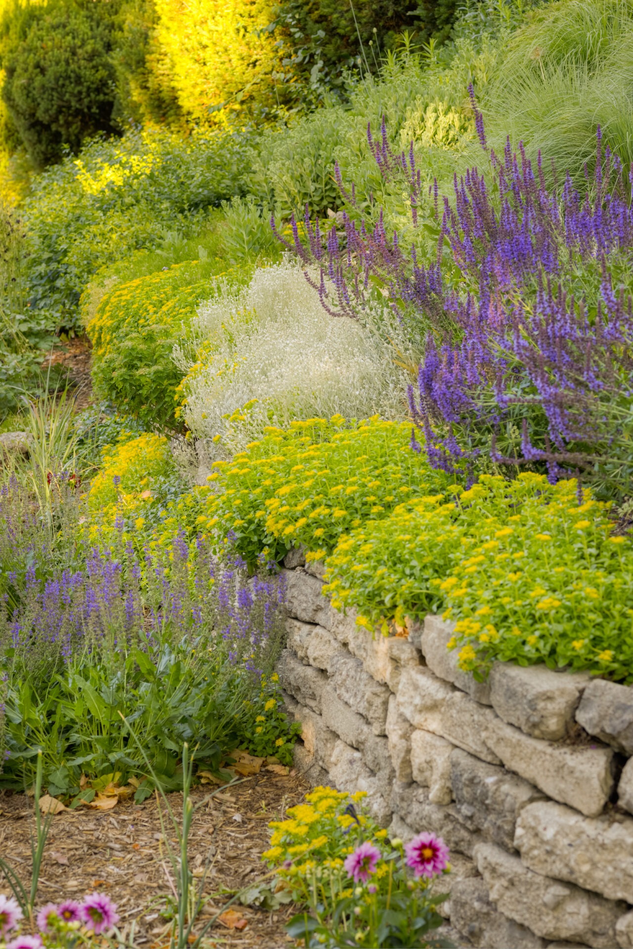 This image showcases a lush garden with colorful flowers blooming by a stone retaining wall, creating a vibrant display of purple, yellow, and green hues.