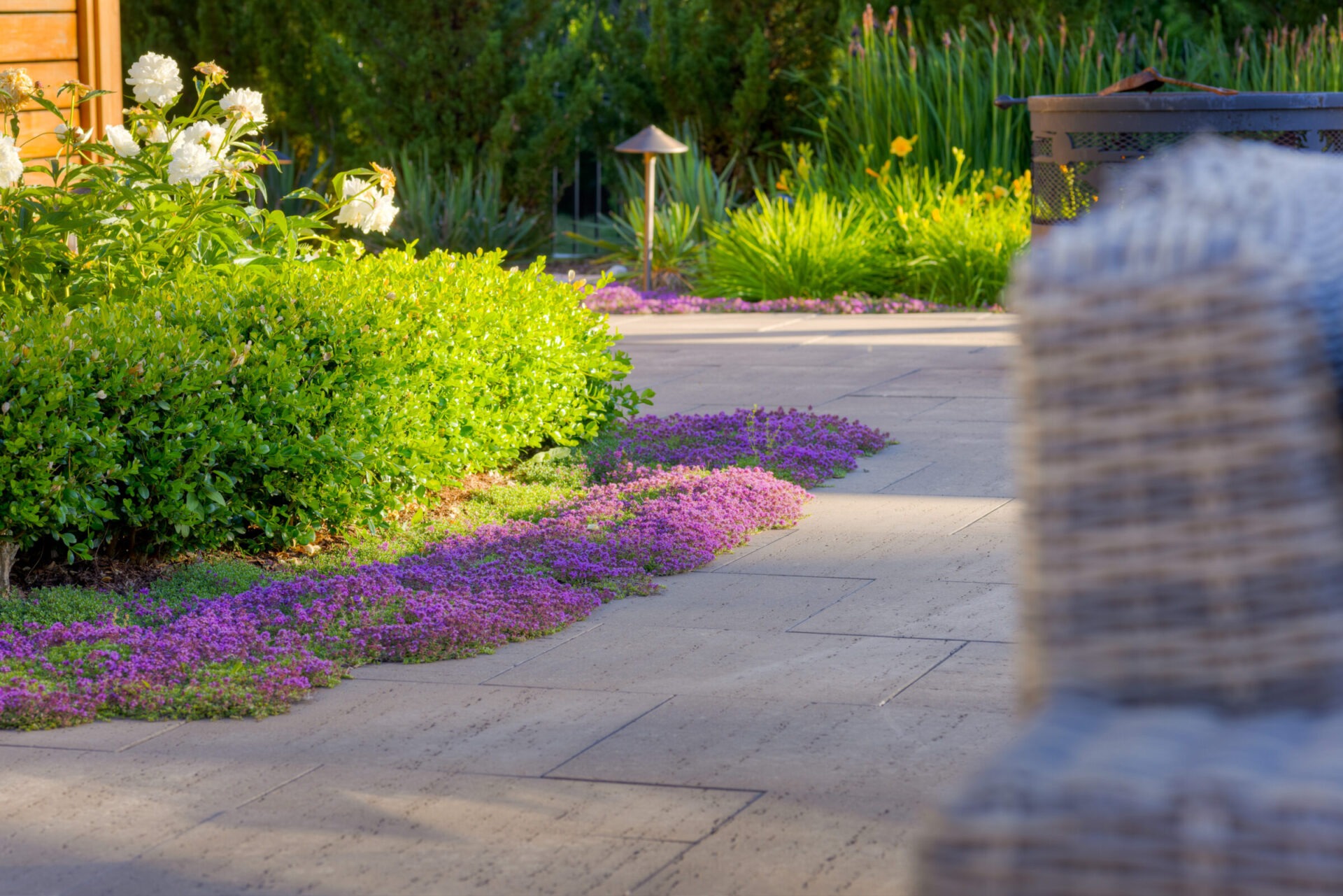 This image features a well-manicured garden path with purple flowers bordering green shrubs, a lamp post, and various plants under sunlight.