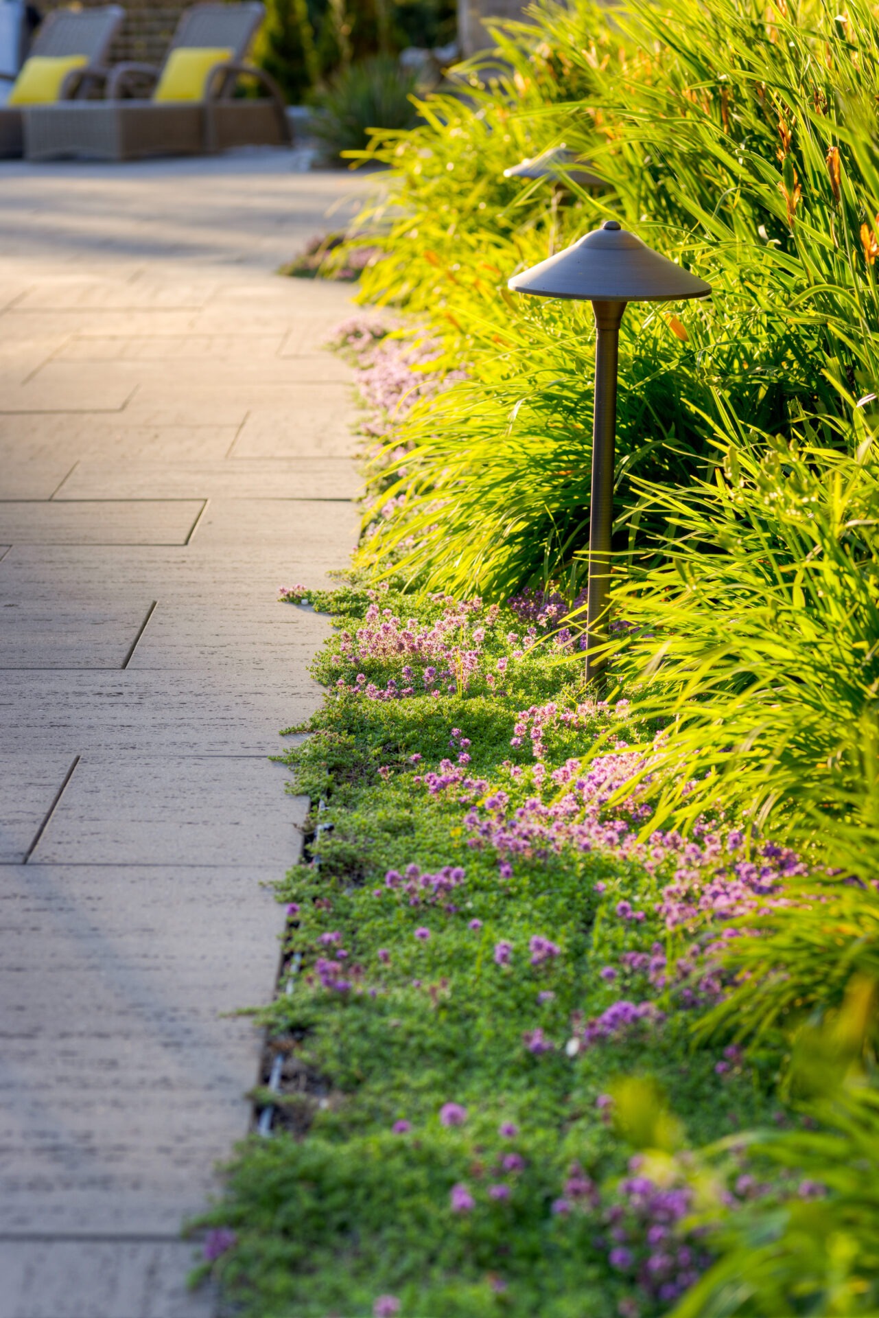A serene garden pathway lined with lush grasses, small purple flowers, and modern outdoor lamps, leading to inviting lounge chairs in soft sunlight.