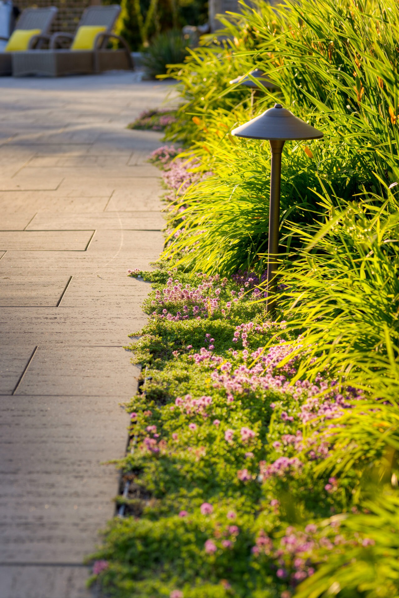 A tranquil garden path lined with lush greenery and pink flowers. Tall grasses sway beside modern, low-profile path lights. Sunlight bathes the scene warmly.