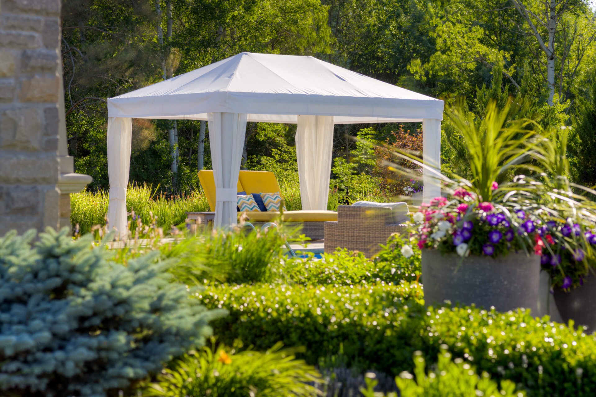 Luxurious garden gazebo with white curtains and yellow chairs amidst lush greenery and vibrant flowering plants on a sunny day with clear blue skies.